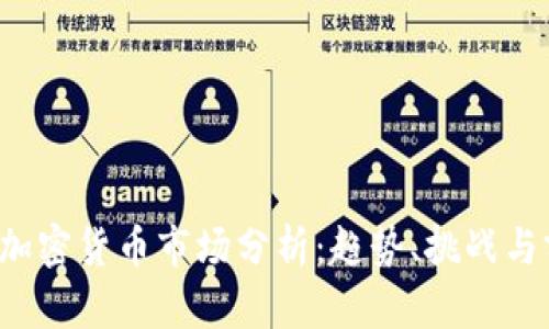 2023年加密货币市场分析：趋势、挑战与前景展望