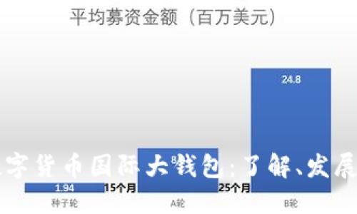 中国数字货币国际大钱包：了解、发展与未来