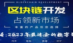 新手必看：2023年最适合的