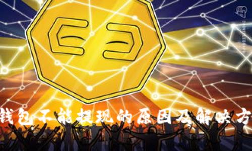 Token钱包不能提现的原因及解决方案解析