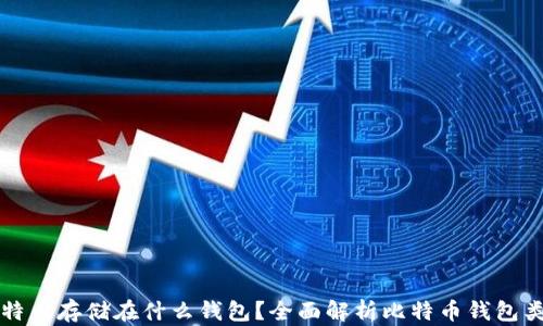 
比特币存储在什么钱包？全面解析比特币钱包类型