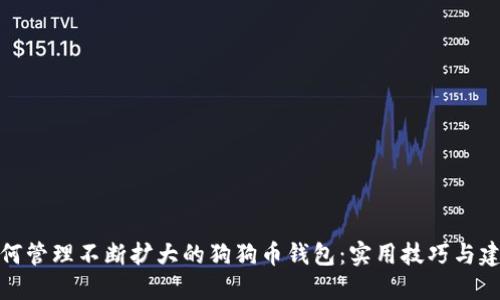 如何管理不断扩大的狗狗币钱包：实用技巧与建议