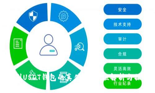 如何辨别USDT钱包的真伪？全方位解析与操作指南