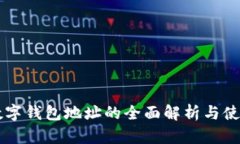 中币数字钱包地址的全面解析与使用指南