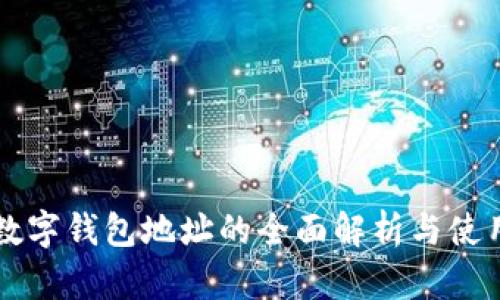 中币数字钱包地址的全面解析与使用指南