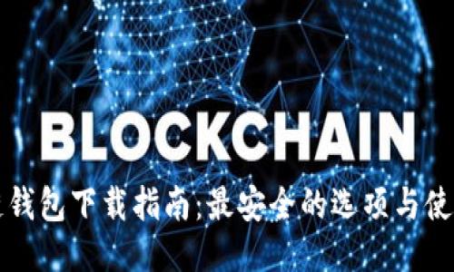 区块链钱包下载指南：最安全的选项与使用技巧