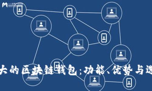 全球最大的区块链钱包：功能、优势与选择指南