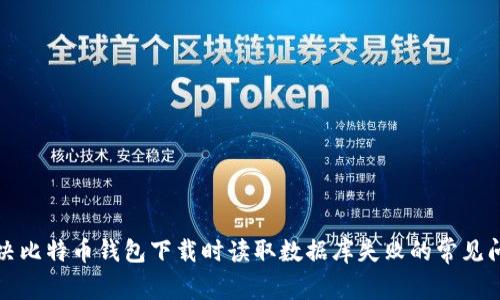 解决比特币钱包下载时读取数据库失败的常见问题