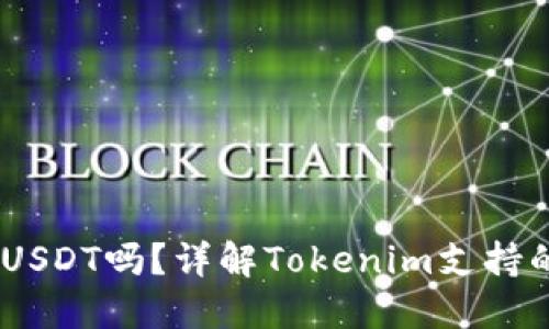  Tokenim可以放USDT吗？详解Tokenim支持的币种与使用方法