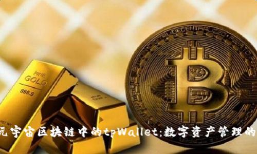  探索元宇宙区块链中的tpWallet：数字资产管理的新纪元
