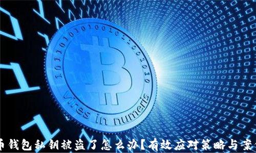 
虚拟币钱包私钥被盗了怎么办？有效应对策略与案例分析