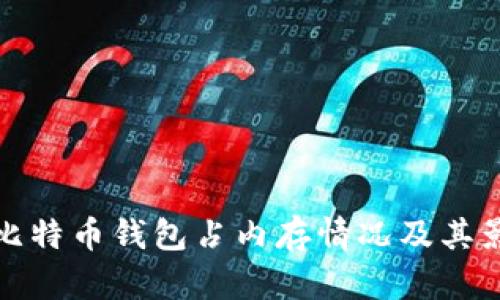 : 详解比特币钱包占内存情况及其影响因素