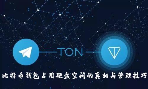 比特币钱包占用硬盘空间的真相与管理技巧