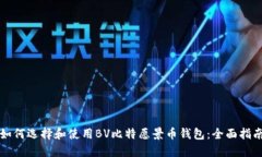 如何选择和使用BV比特愿景