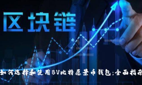 如何选择和使用BV比特愿景币钱包：全面指南