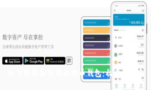 如何选择和使用比特币钱包：初学者指南