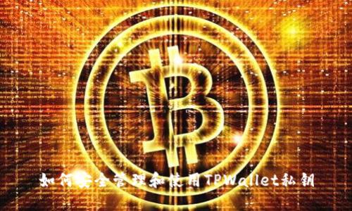 如何安全管理和使用TPWallet私钥