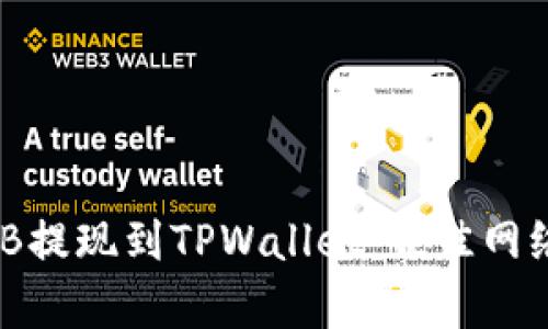 如何将BNB提现到TPWallet：最佳网络选择解析